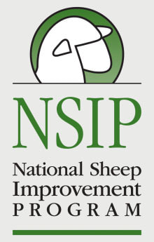 National Sheep Improvement Program